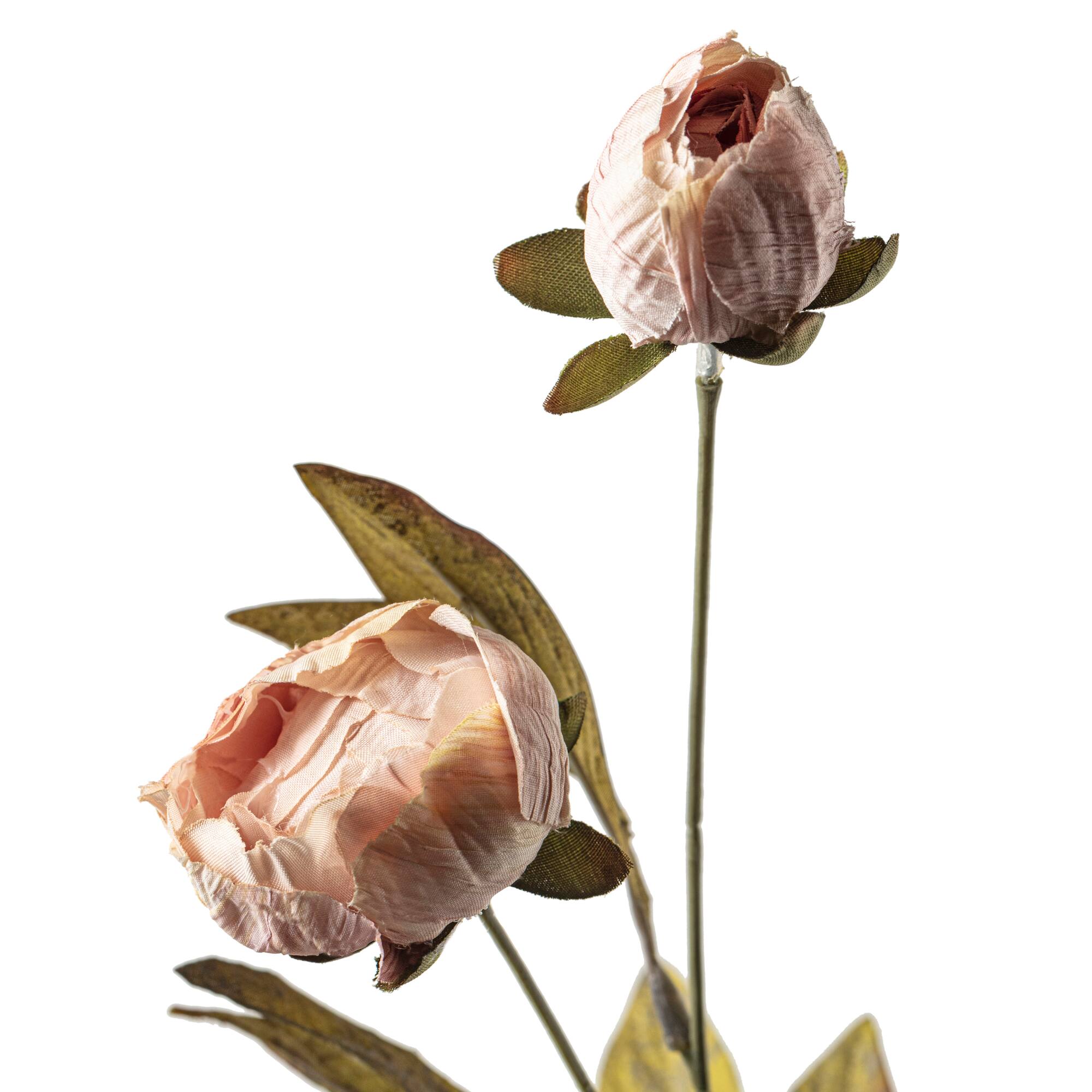 Tan Peony Stem by Ashland®
